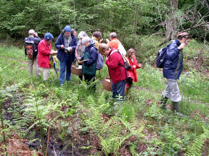 2010 05  Myco avec l' ANY 12